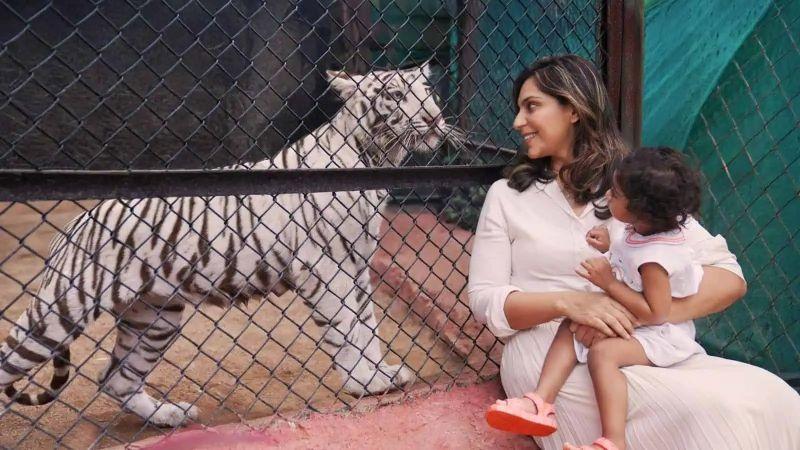 Ram Charan's Daughter Gets Tigress Named After Her