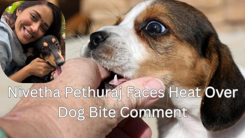 Nivetha Pethuraj Faces Criticism For Saying Dog Bites Should Not Be Made A Big Deal