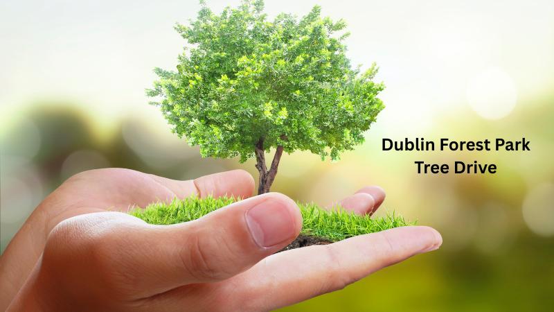 Dublin Forest Park Launches Adopt-A-Tree Program Ahead Of 2025 Opening