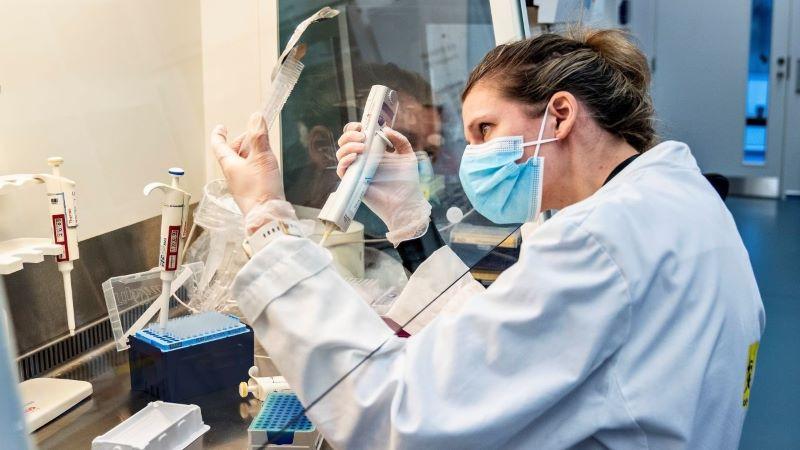 WHO Addresses HMPV Outbreak Concerns in China and India