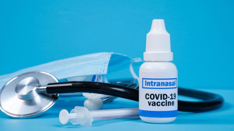 Nasal COVID Vaccine Could Replace Booster Shots