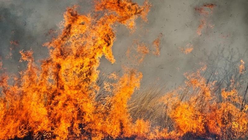 Midway Fire Near Livermore Burns 262 Acres, Now 60% Contained