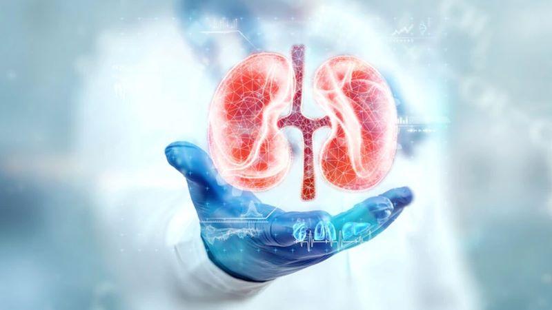 9 Daily Habits to Protect Your Kidneys and Improve Kidney Health