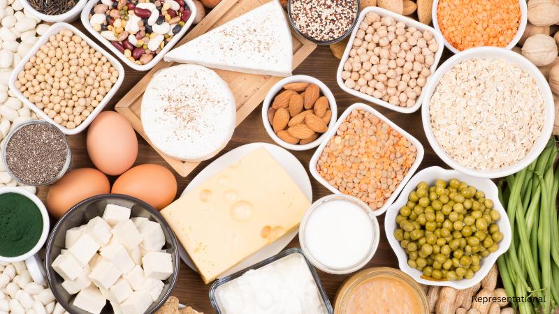 Best Protein Sources for Indian Vegetarians  Top Plant-Based Foods to Include in Your Diet