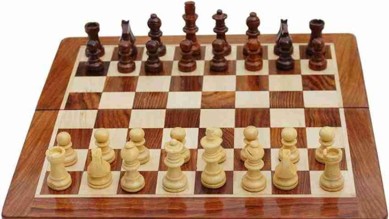 Nine-Year-Old Aarit Kapil Becomes Youngest Indian to Beat a Chess Grandmaster