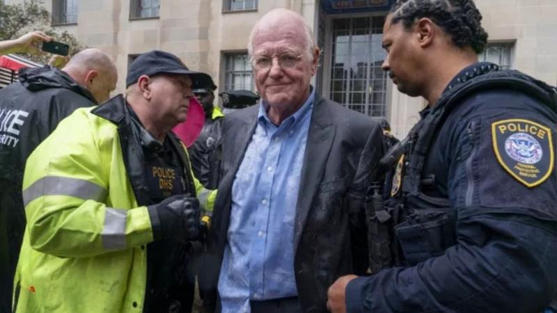 Ben & Jerry's Founder Arrested Over Gaza Protest
