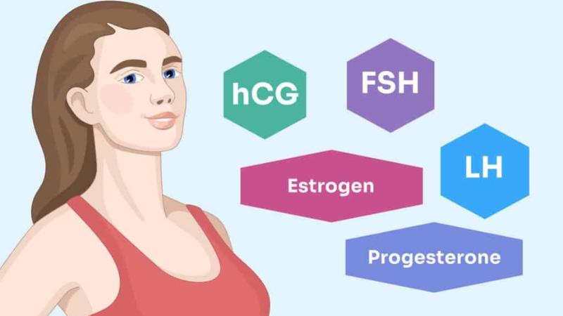 5 Key Hormones That Affect Fertility in Women Dr. Anjali Kumar's Insights