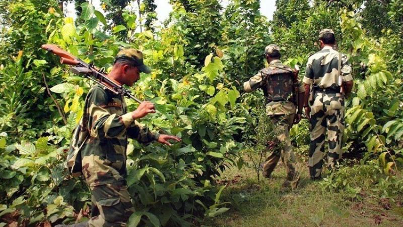 Maoist Leader With Rs 1 Crore Bounty Among 14 Killed in Chhattisgarh Encounter