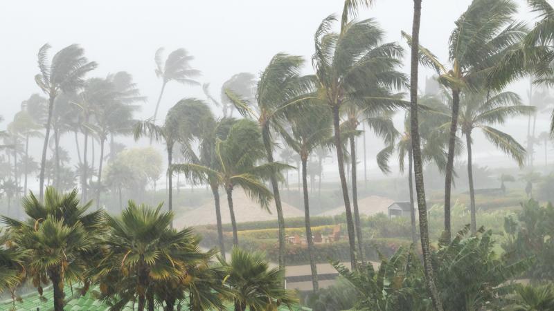 Cyclone Montha Intensifies, Set To Hit Andhra Coast Tonight With Heavy Rain And Strong Winds