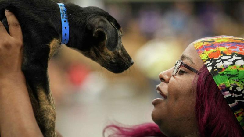 NRG Stadium to Host 1,600 Pets for Adoption at Mega Petco Love Event on August 9-10