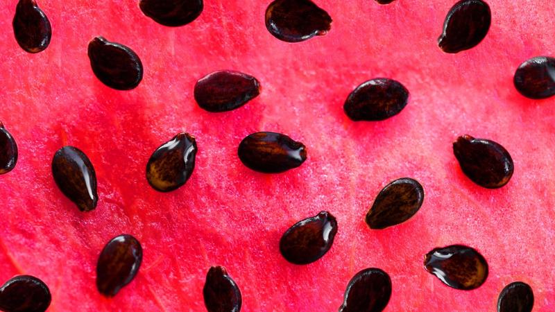 Watermelon Seeds: 7 Surprising Summer Health Benefits and Why You Shouldn’t Throw Them Away