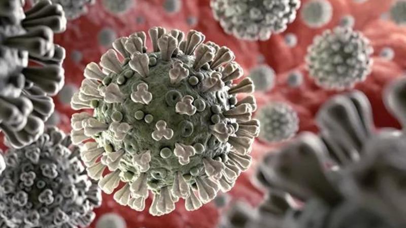 New COVID Variant NB.1.8.1 From China Detected in US