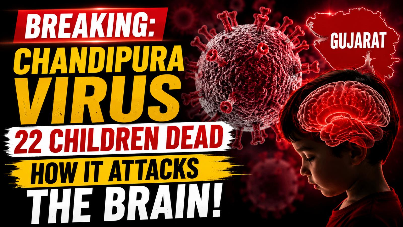 Chandipura Virus Outbreak Claims 22 Children In Gujarat