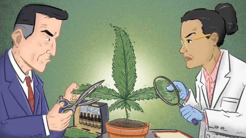 Cannabis for Chronic Pain  What the Science Says