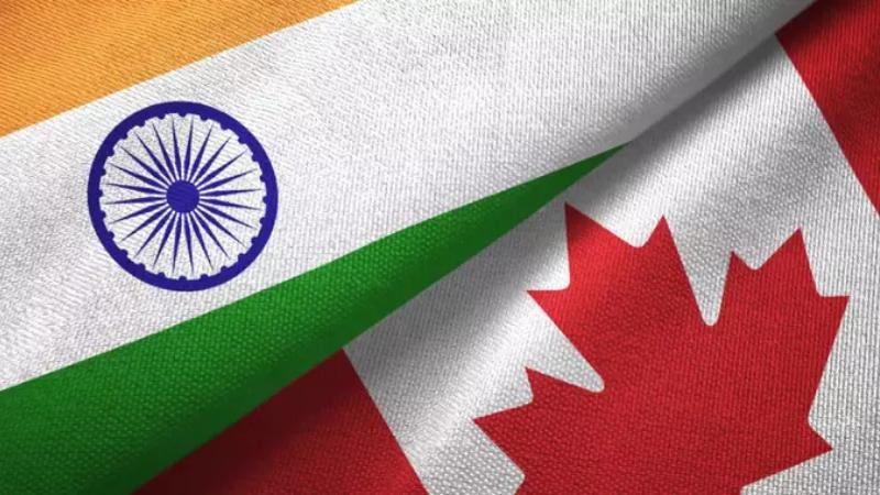 Duolingo English Test A New Option for Indian Students After SDS Ends
