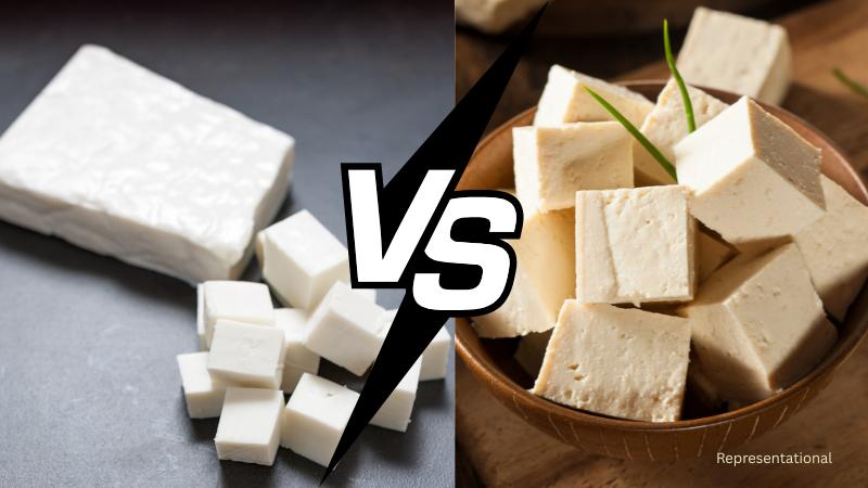 Paneer vs Tofu Which Is Better for Indian Recipes A Detailed Comparison
