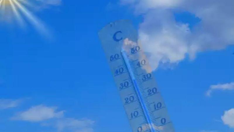 8 Effective Remedies to Prepare for a Summer Heat Wave