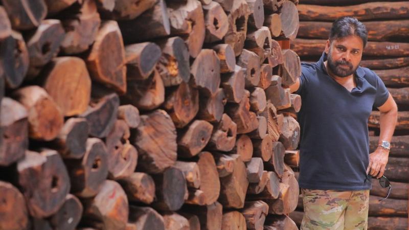 The Pawan Kalyan Effect: Villagers Stop Red Sandalwood Smuggling After Dramatic Chase