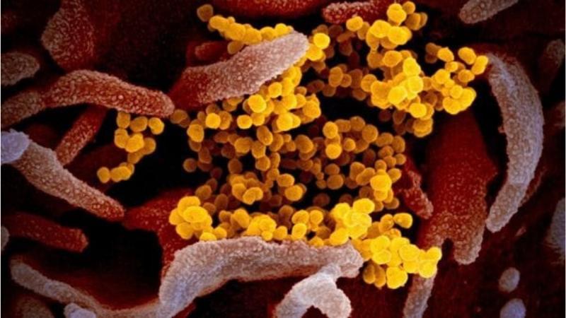 China Faces Surge in HMPV Cases Amid Growing Health Concerns