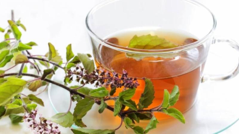 7 Incredible Benefits of Chewing Raw Tulsi (Holy Basil) Leaves Daily for Better Health