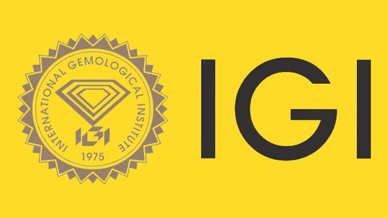 Two Major IPOs Set to Raise ₹6,722.92 Crore in December 2024