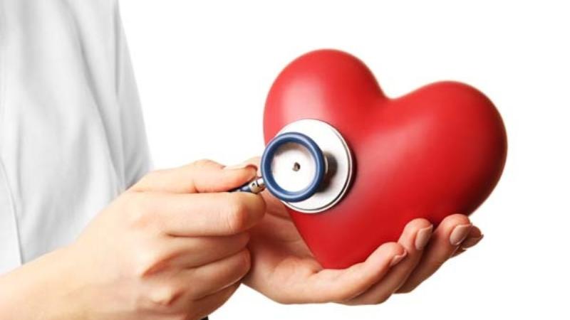 Plastics Chemical Phthalates Linked to 356,000 Global Heart Deaths in 2018 NYU Study Finds