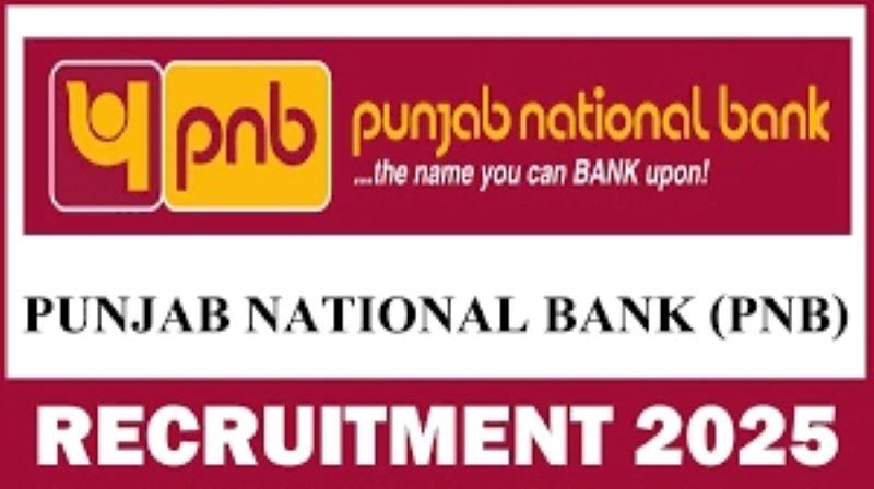 PNB Recruitment 2025 Apply for Internal Ombudsman Posts