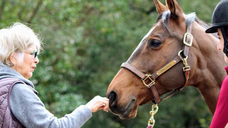 Pleasanton Fundraiser Supports Equine Therapy for Dementia Patients and Caregivers