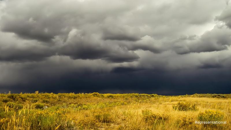 Houston endures typical August weather with rising heat and scattered storms