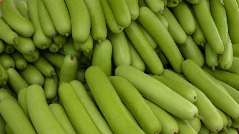 9 Amazing Skin Benefits of Lauki (Bottle Gourd) for Glowing, Healthy Skin