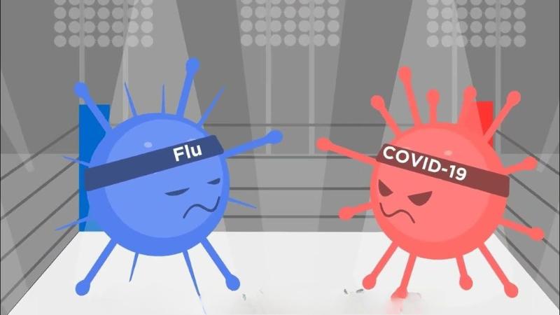 Covid-19 vs Monsoon Flu  Key Differences Explained