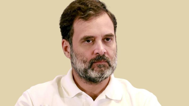 Brazil Model’s Photo Allegedly Used 22 Times in Haryana Voter Fraud Claim