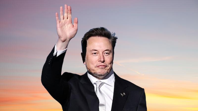 World’s Richest Man Elon Musk Back on Top as Larry Ellison’s Oracle Surge Fades