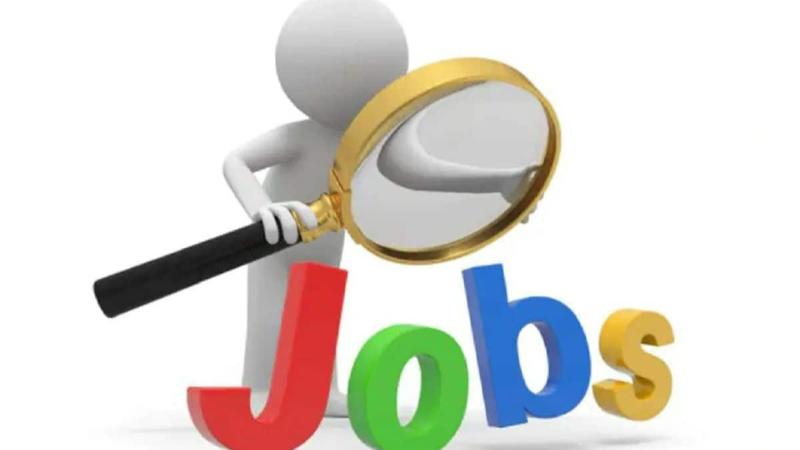 Delhi Govt Portals Helped Only 2 People Get Jobs Since 2019, Reveals Assembly Budget Session