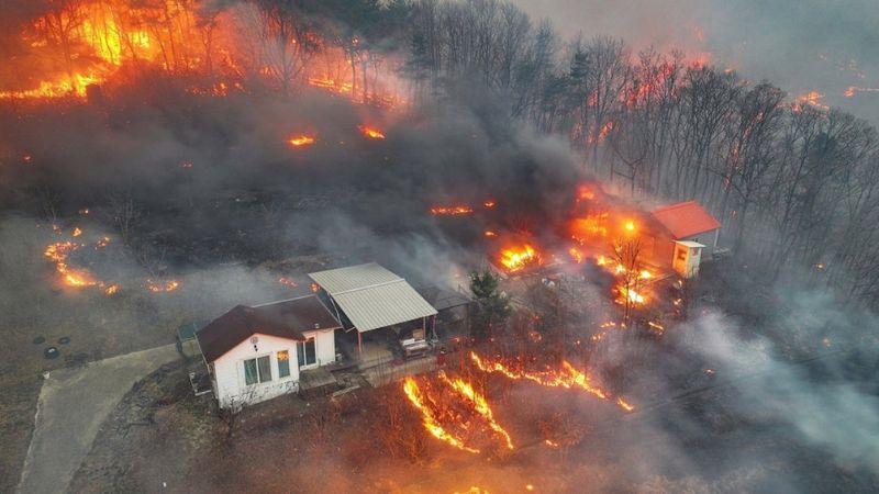 South Korea’s Worst Wildfires Kill 18, Destroy Historic Temple and Force Mass Evacuations
