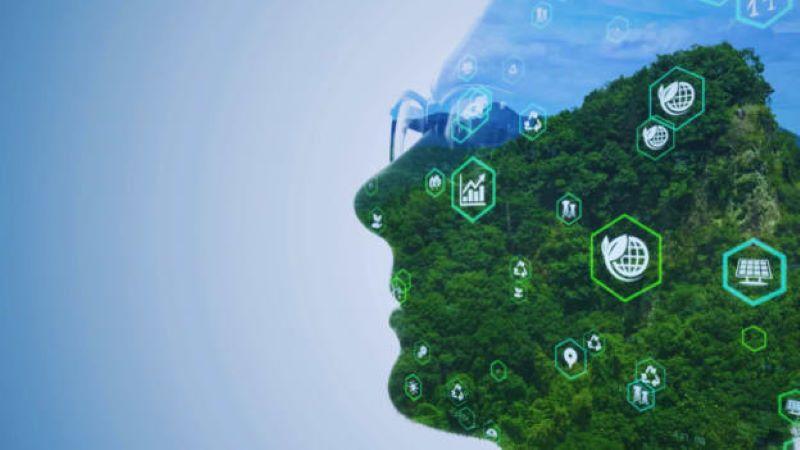 Indian Businesses Plan Increased IT Investment for Sustainability