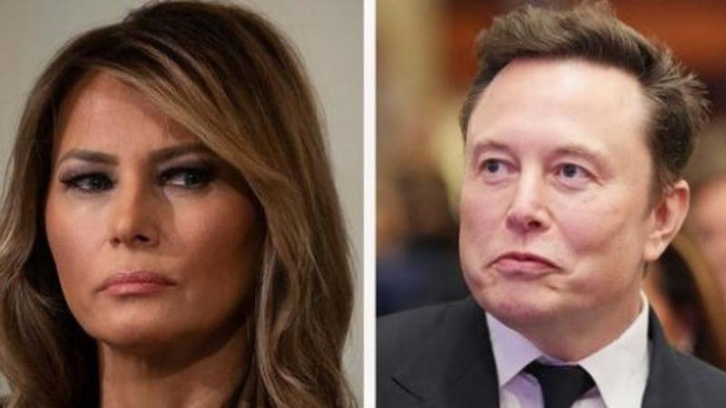 Laura Loomer Attacks Elon Musk Over Immigration Views