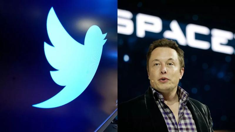 SEC Sues Elon Musk for Delayed Disclosure of Twitter Stake Purchase