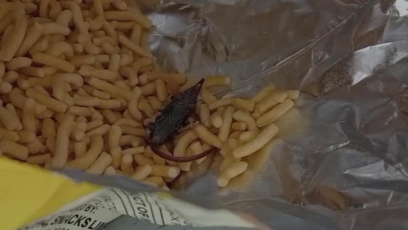 One-Year-Old Suffers Illness After Eating Namkeen with Dead Rat in Gujarat