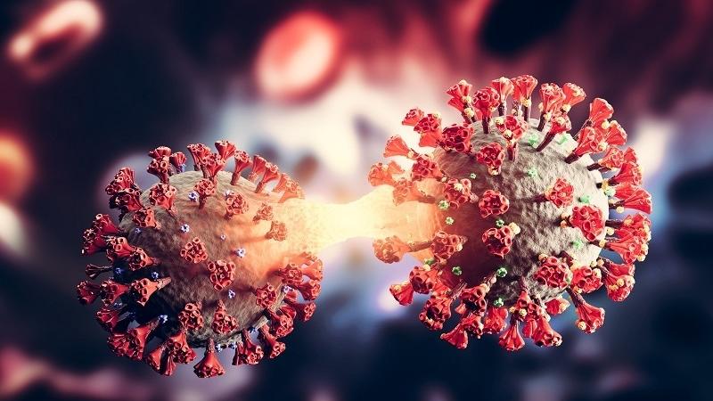 NB.1.8.1 Covid Variant Spreads Fast, Evades Immunity