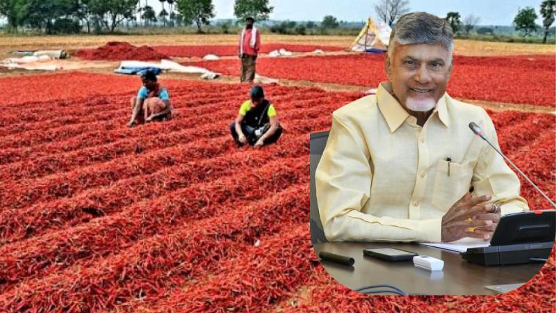 Chandrababu Naidu Assures Chilli Farmers of Support Amid Price Drop, Discusses Polavaram Project