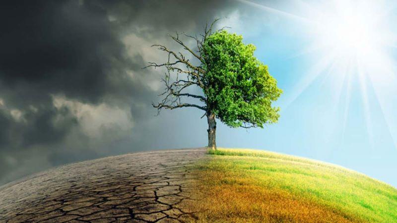 2024 to Be Warmest Year on Record, Fueling Extreme Heat and Weather Events