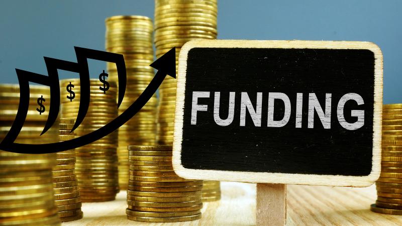 NRIs Drive India's Economic Resilience with Record Remittances and Growing Investments