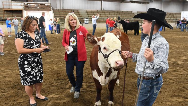 Ronald McDonald House Celebrity Steer Show returns to Ohio State Fair