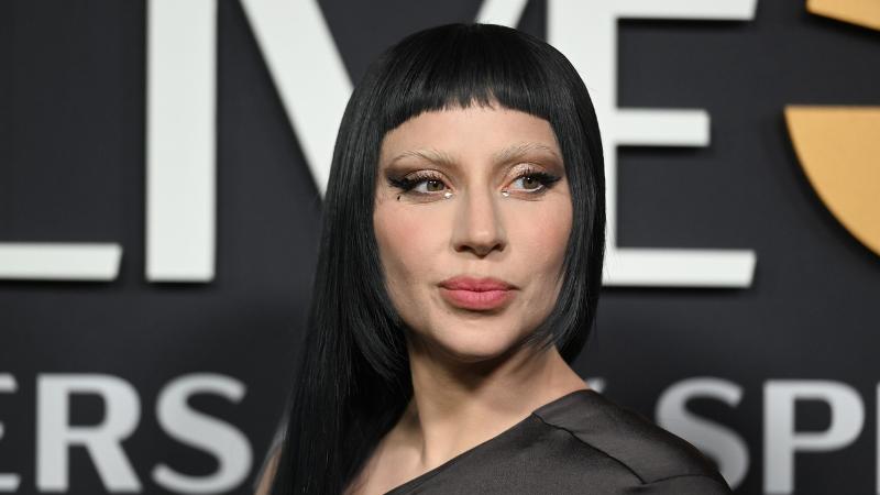 Lady Gaga fans ride themed Caltrain to Chase Center concert in San Francisco