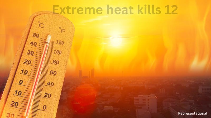 Extreme heat kills 12 in Maryland, sends thousands to hospitals across region