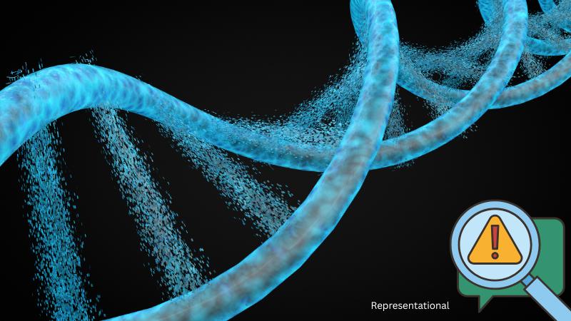 Three more victims of 911 World Trade Center attacks identified through DNA analysis