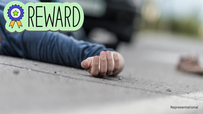 Cook County Crime Stoppers Offers $1000 Reward in Fatal Hit and Run Case