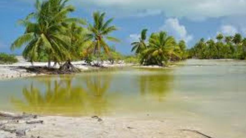 Countries That Celebrate New Year's First A Global Countdown