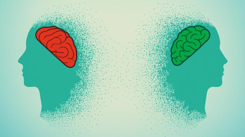 Smartness explained: turning cleverness into wisdom, not cunning